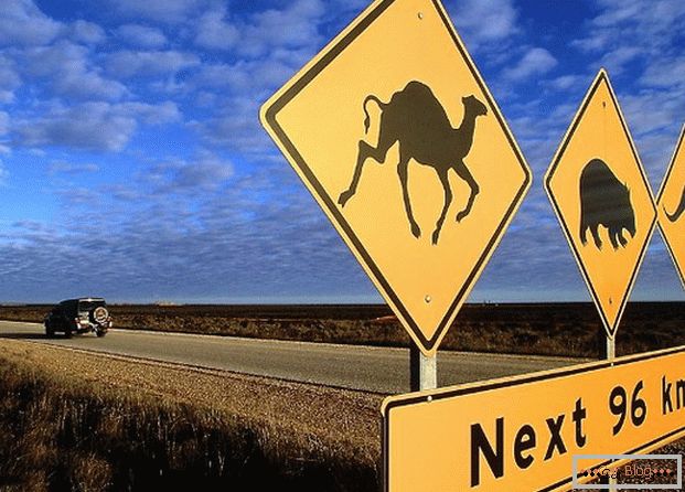Аустралијски путни знак упозорава да различите животиње могу трчати на пут.