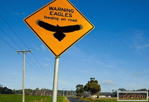 Упозорење на могућност сусрета орлова на путу